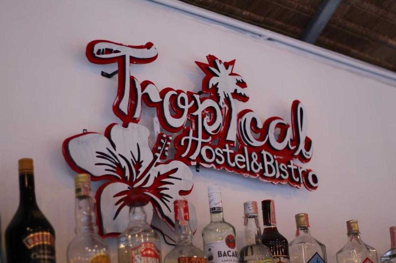 Tropical Hostel كو فايام المظهر الخارجي الصورة