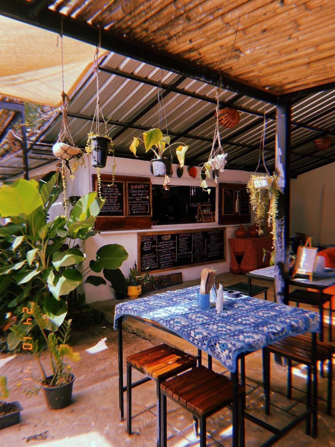 Tropical Hostel كو فايام المظهر الخارجي الصورة