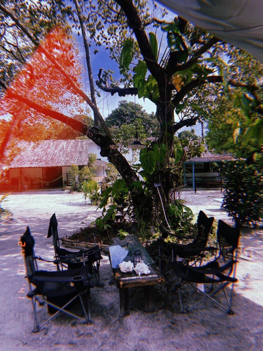 Tropical Hostel كو فايام المظهر الخارجي الصورة